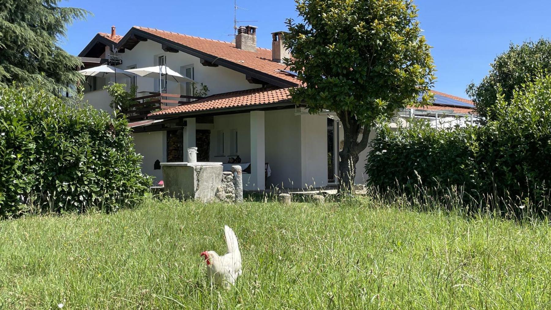 Villa Selva - Piemonte Agrate Conturbia Exterior foto